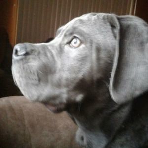 Meet your Posher, Renee